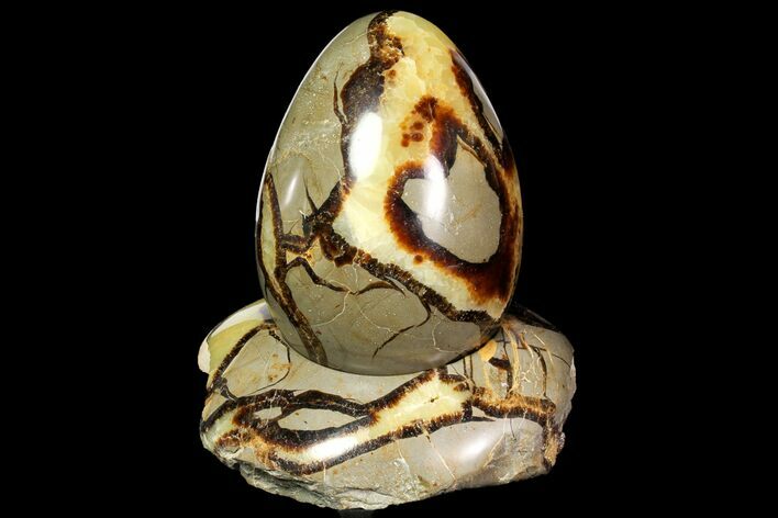 Polished Septarian Egg with Stand - Madagascar #118137